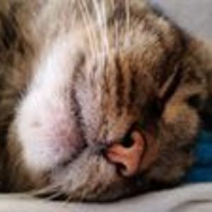 unicornvsredbull avatar