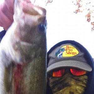 jeremycrawford avatar