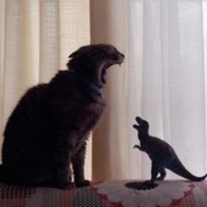 felicitas_michele avatar