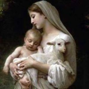 erin_gardener avatar