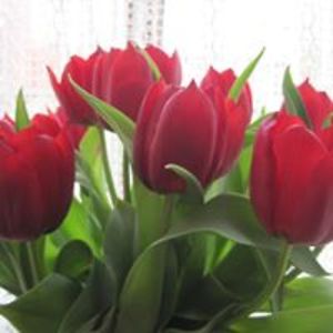 hilaryanderton avatar