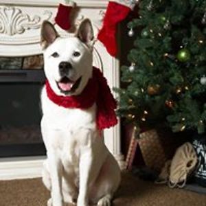 michael_field79 avatar