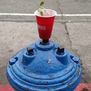 jessespalding avatar