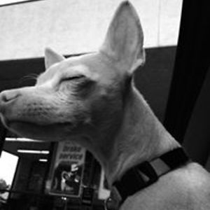 mccarthycarla avatar