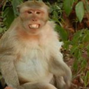 therayngoddess avatar