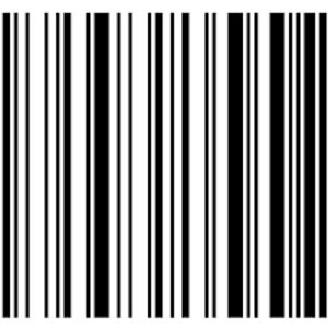 ashobrameshaschoo avatar