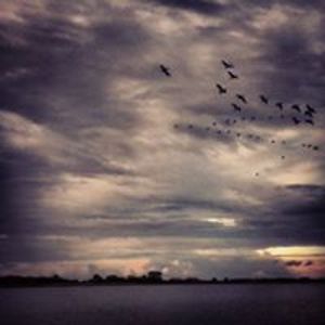 uendelighedning avatar