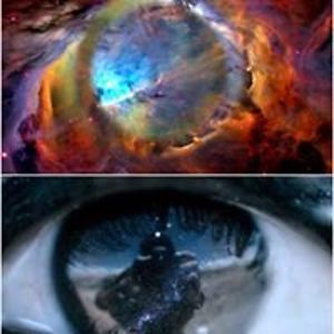 atanas_hristov avatar