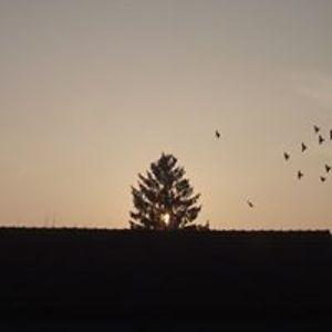 atudatalattid avatar