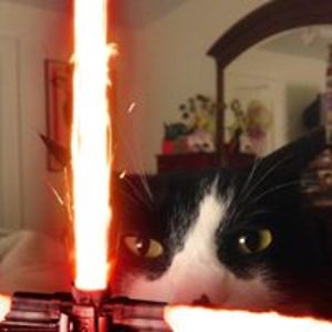 anitagermaine avatar