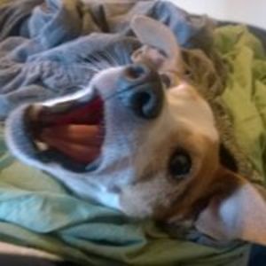 fancyladymeek avatar