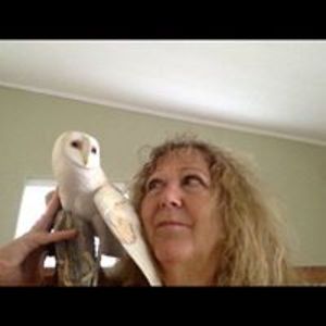 puffinluv1949 avatar