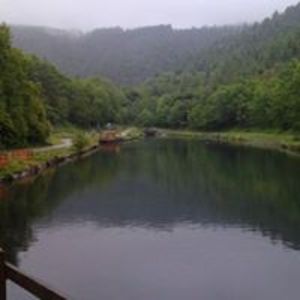 deniseashurst avatar