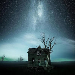 dvornikovichfilmstudio avatar