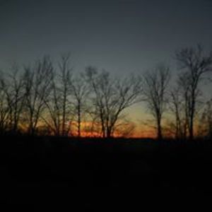 twilightmeadows avatar