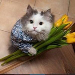 interesniedela2014 avatar