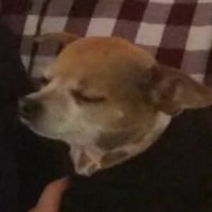 nicholaslylebennett avatar