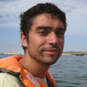 mauriciosilva avatar