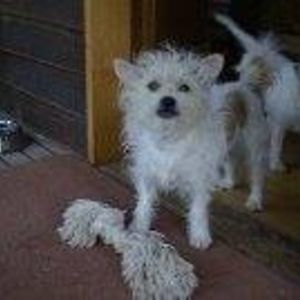 marcus_pruter avatar