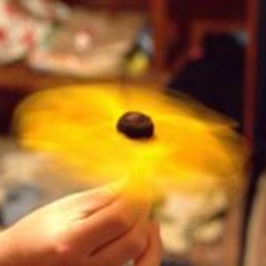 nabucodonosorr avatar