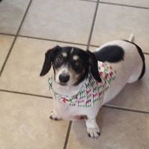 youcansparkle2 avatar