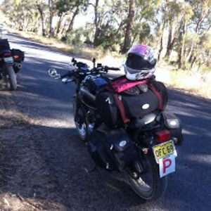 cynthiamurphy avatar