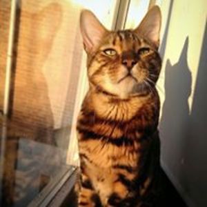 sonam_antakshari avatar