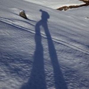 amstutzchristian avatar