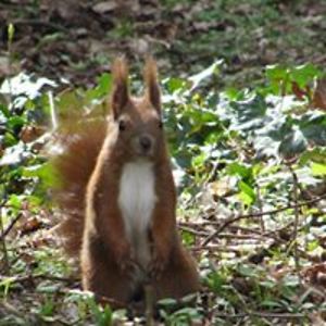 gendertrouble avatar