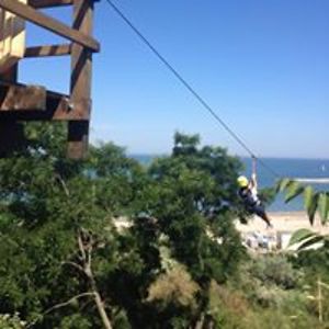 elisabeta_radu avatar