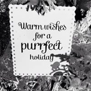 lauralyn_oreilly avatar