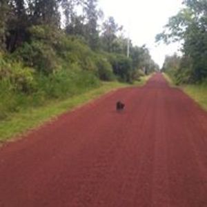 cynthia_rickard avatar