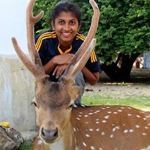 dulsha_hansanee avatar