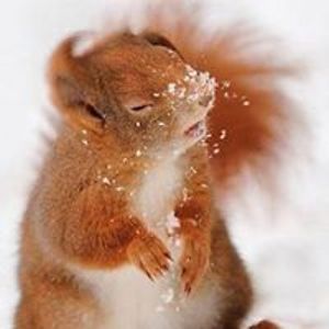 alternativecrete avatar