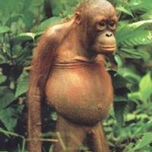 zeljko_dragutinovic avatar