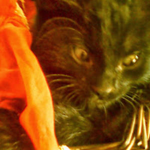 luciannwaldrup avatar