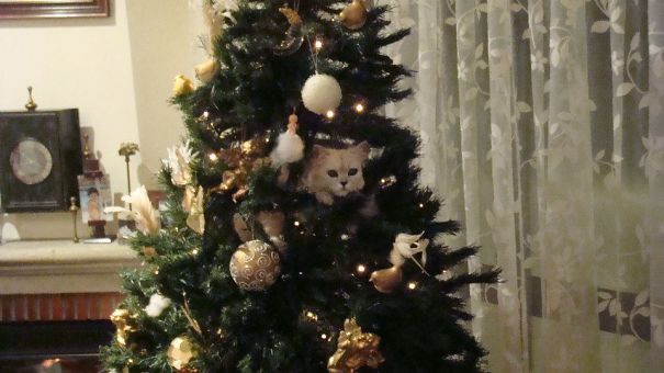 Just Another White Ornament... Is It Too Pretentious?