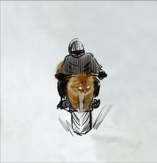Motorcat