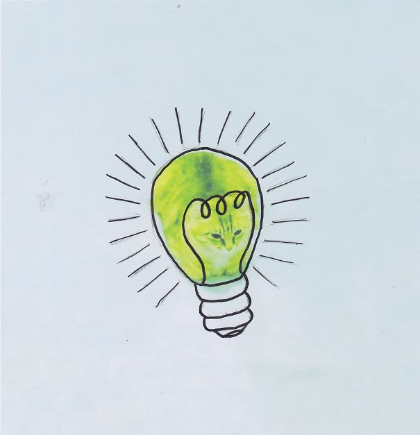 Lec (light Emitting Cat)