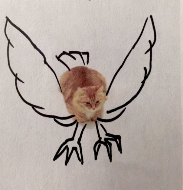 Cat Attack From The Sky