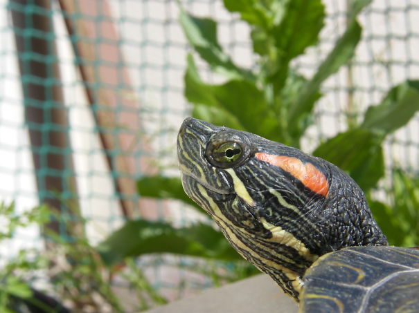 Hmmm... I Should Try Bite Those Fingers.