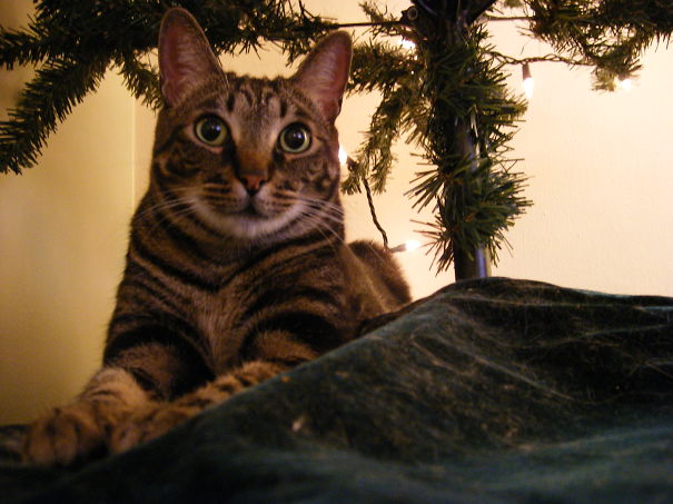 This One Thought He Was The Present.