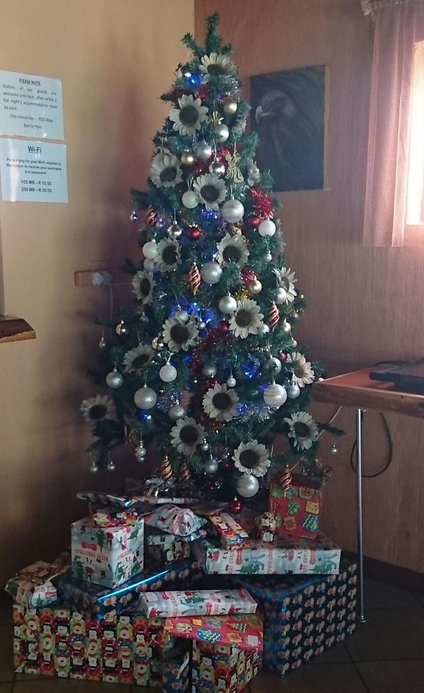 Silver Sunflowers In Tsitsikamma
