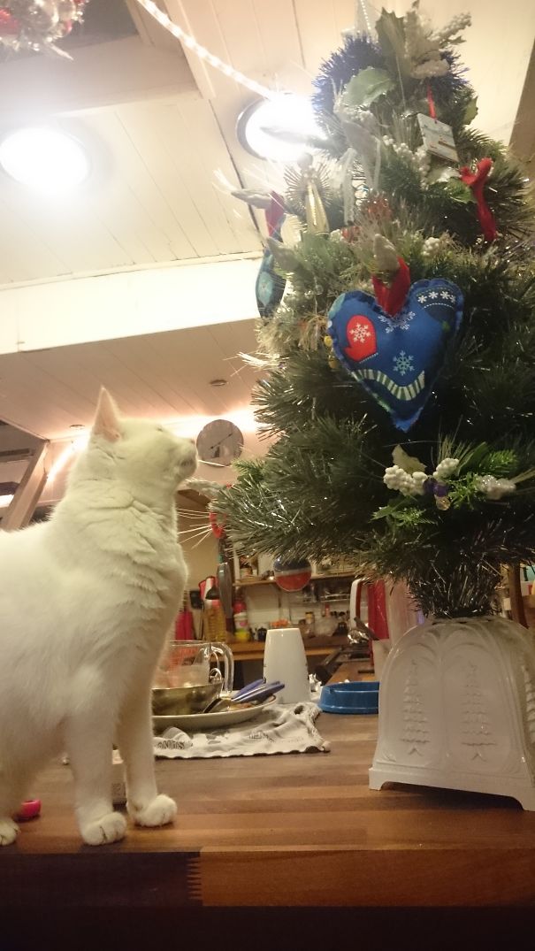 There May Be Trouble Ahead.....