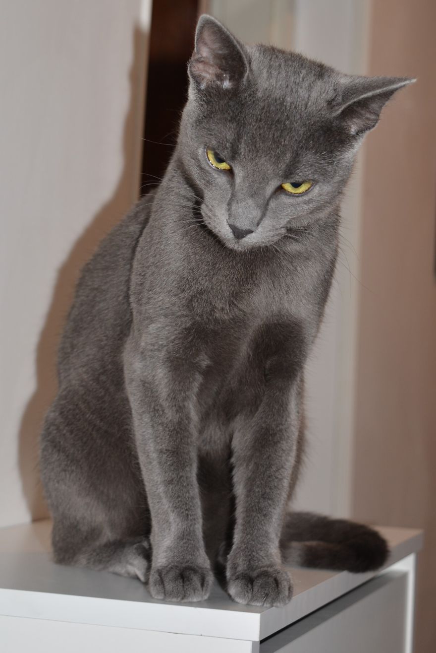 "you Talkin' To Me?!"