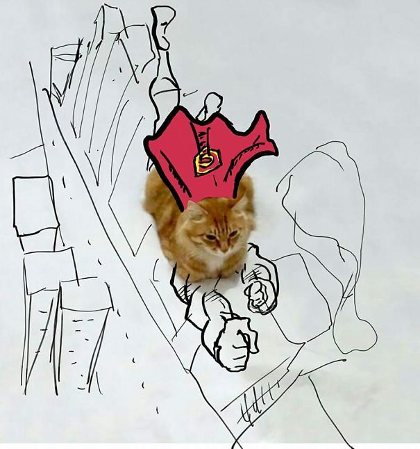 Catman