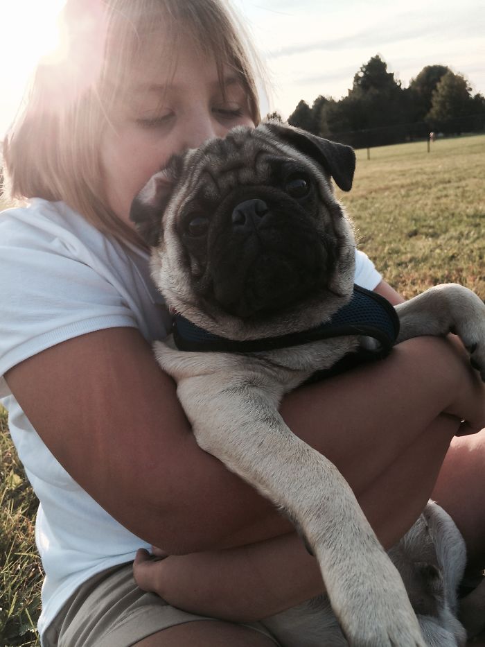 Sunset In The Dog Park