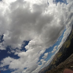 nicholascellini avatar