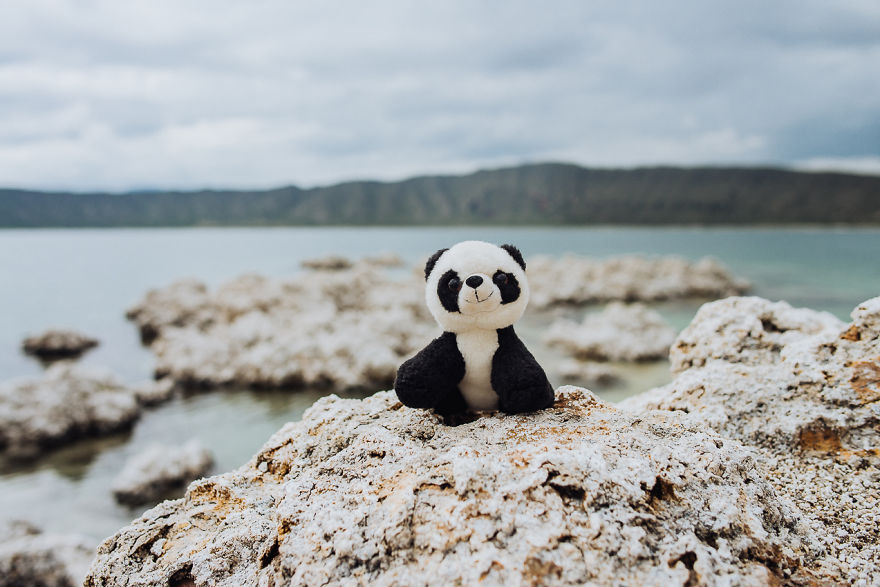 I Take My Pandas With Me On Photographic Adventures