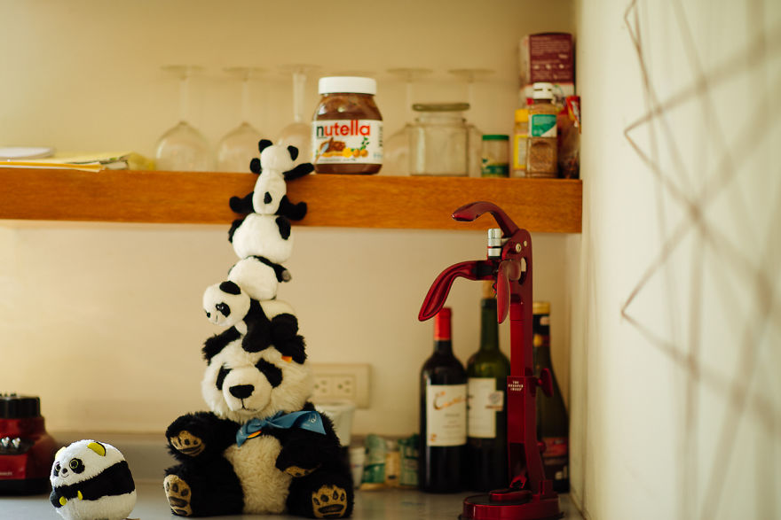 I Take My Pandas With Me On Photographic Adventures